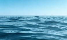海投物业年终奖究竟什么时候发？