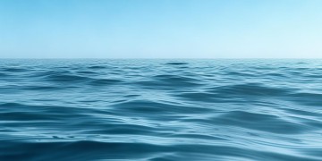 海投物业年终奖究竟什么时候发？
